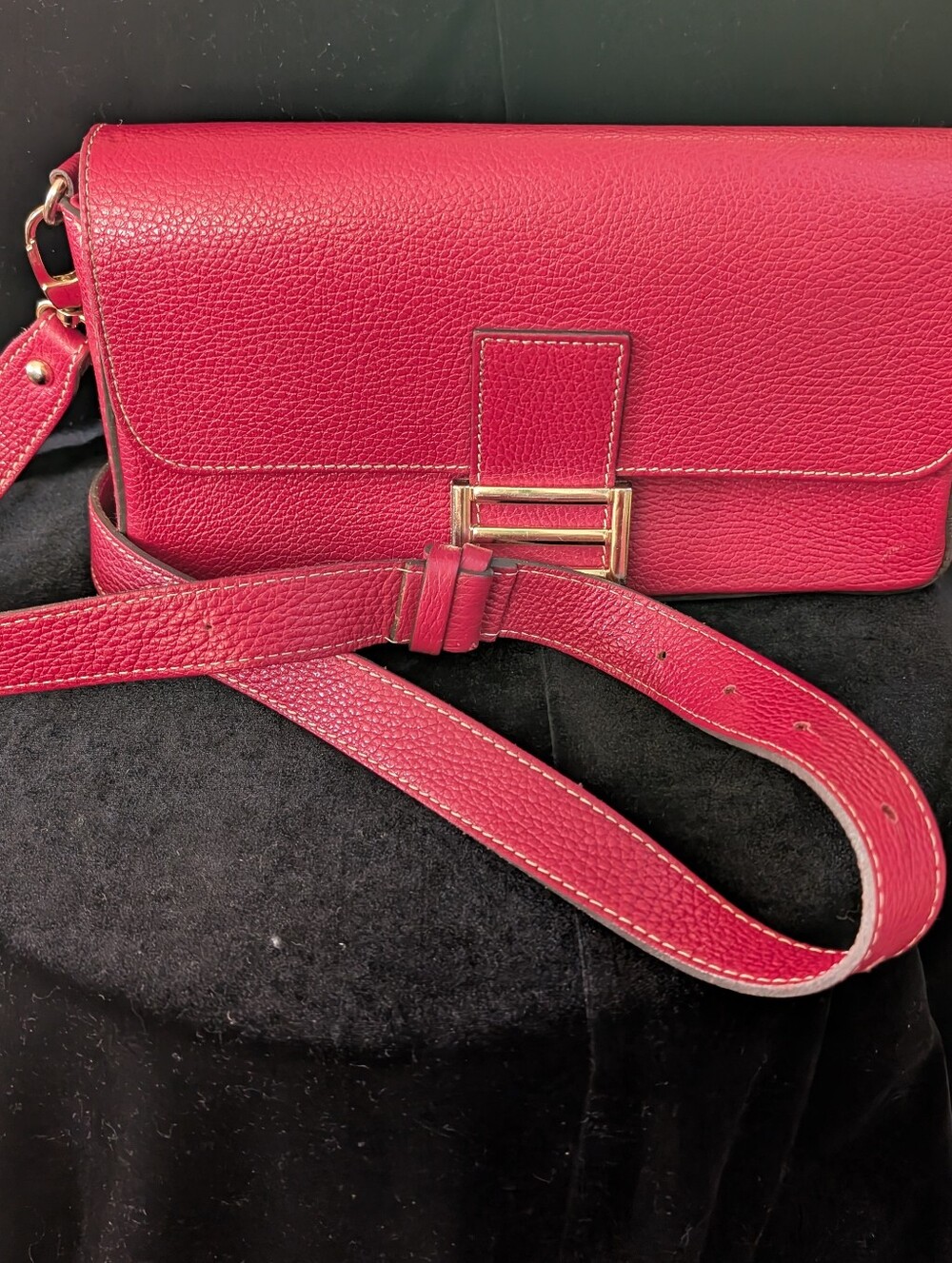 Divina Firenze Red Leather Crossbody Bag with Gold Accent
